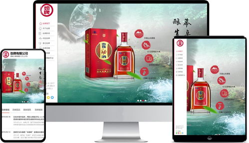 中国劲酒 企业网站设计,集团网站设计,大型品牌网站设计 广州实力网站设计公司